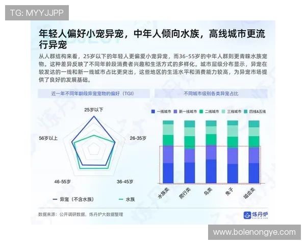 皇冠会员是哪个版本最适合不同用户需求的详细分析