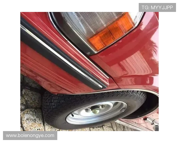 皇冠真人版最新上线，带你体验最真实的皇冠游戏乐趣