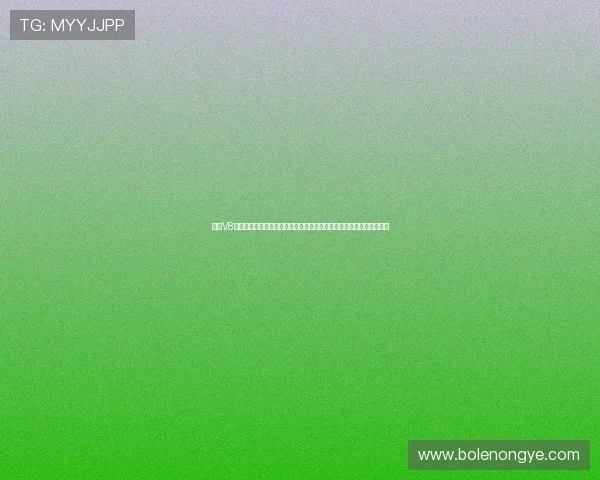 皇冠V8在世界杯比赛中的应用情况分析，是否为球队带来关键胜利的技术支持